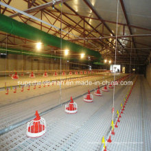 Equipo automático de aves de corral para pollo de engorde y pollo